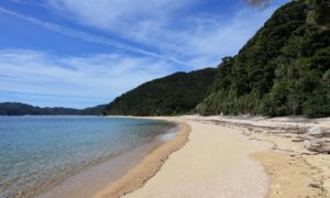 Marlborough Sounds und Abel Tasman