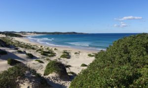 Sydney – Brisbane: Von Kiwis zu Känguruhs und Surfer