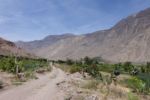 Auf dem Weg zwischen Cotahuasi und Quechualla