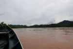 Nach einem halben Tag Regen ist der Rio Beni voller Schwemmholz