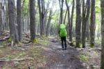 Auf argentinischer Seite führt der Weg durch einen schönen Wald