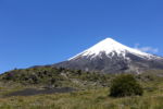 Der für uns bislang schönste Vulkan: Osorno (2652müM)