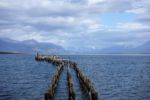 Steg mit Kormoranen in Puerto Natales