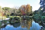 Herbstliche Stimmung im botanischen Garten von Christchurch
