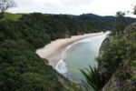 nicht umsonst einer der schönsten Strände von Neuseeland: New Chum Beach