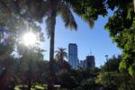 Botanischer Garten von Brisbane